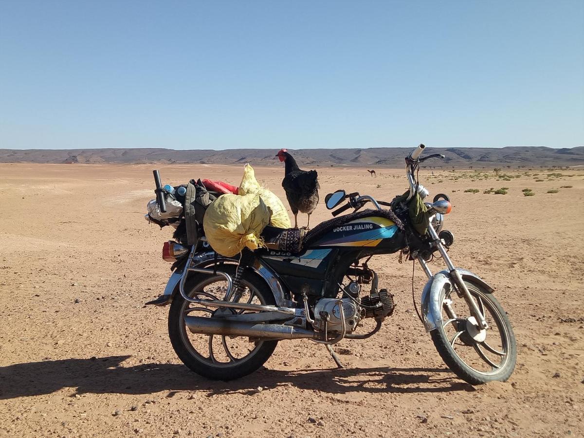 Sahara Peace Camp Ξενοδοχείο Zagora Εξωτερικό φωτογραφία