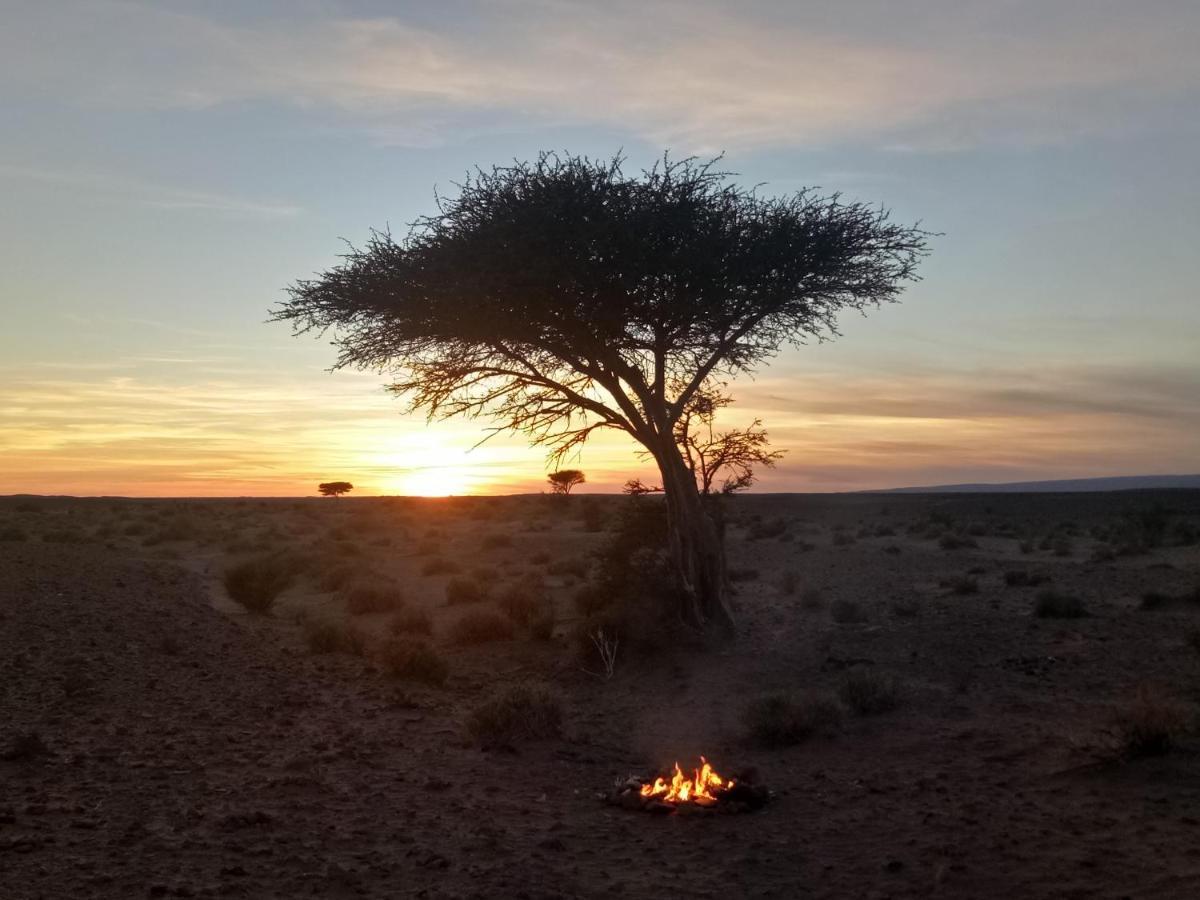 Sahara Peace Camp Ξενοδοχείο Zagora Εξωτερικό φωτογραφία