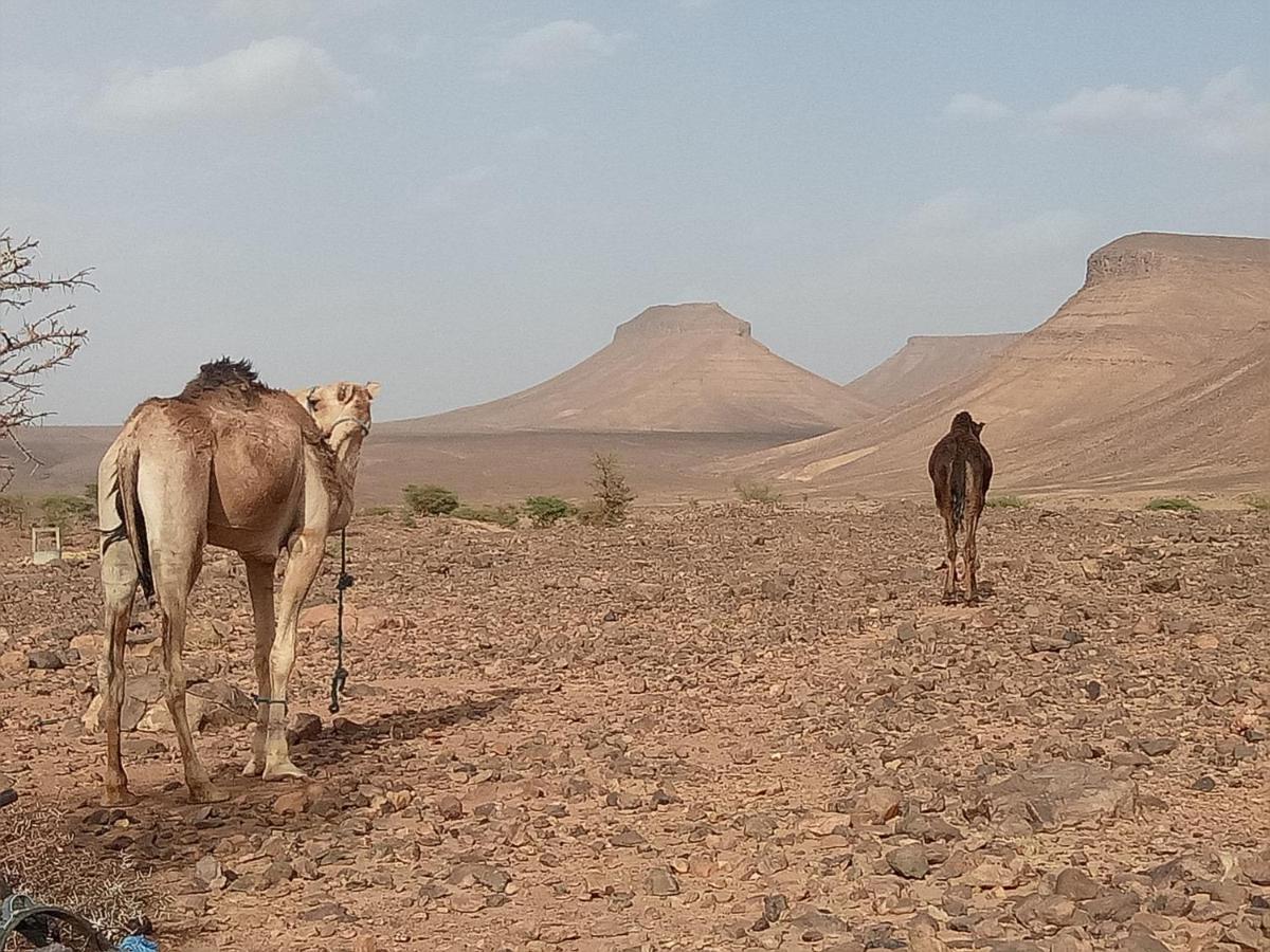 Sahara Peace Camp Ξενοδοχείο Zagora Εξωτερικό φωτογραφία