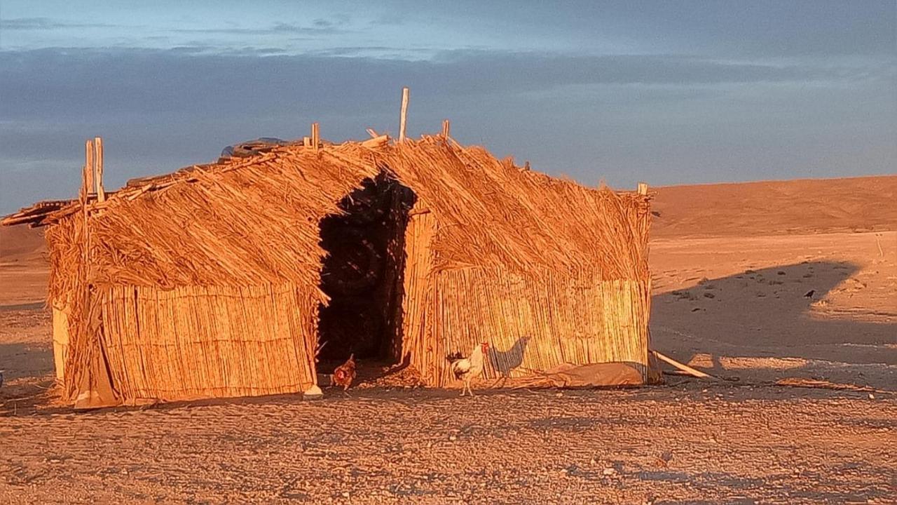 Sahara Peace Camp Ξενοδοχείο Zagora Εξωτερικό φωτογραφία