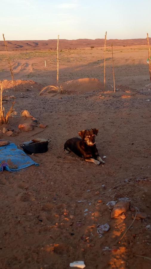 Sahara Peace Camp Ξενοδοχείο Zagora Εξωτερικό φωτογραφία