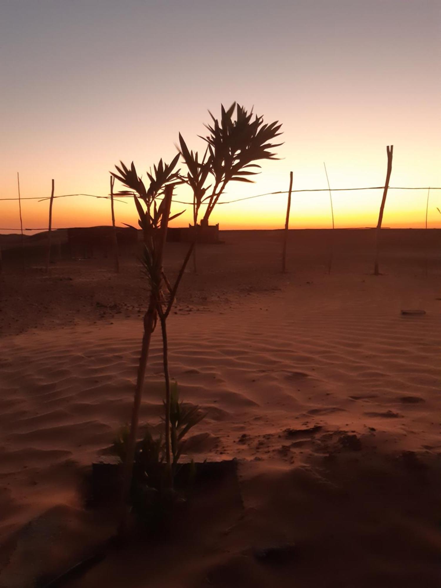 Sahara Peace Camp Ξενοδοχείο Zagora Εξωτερικό φωτογραφία